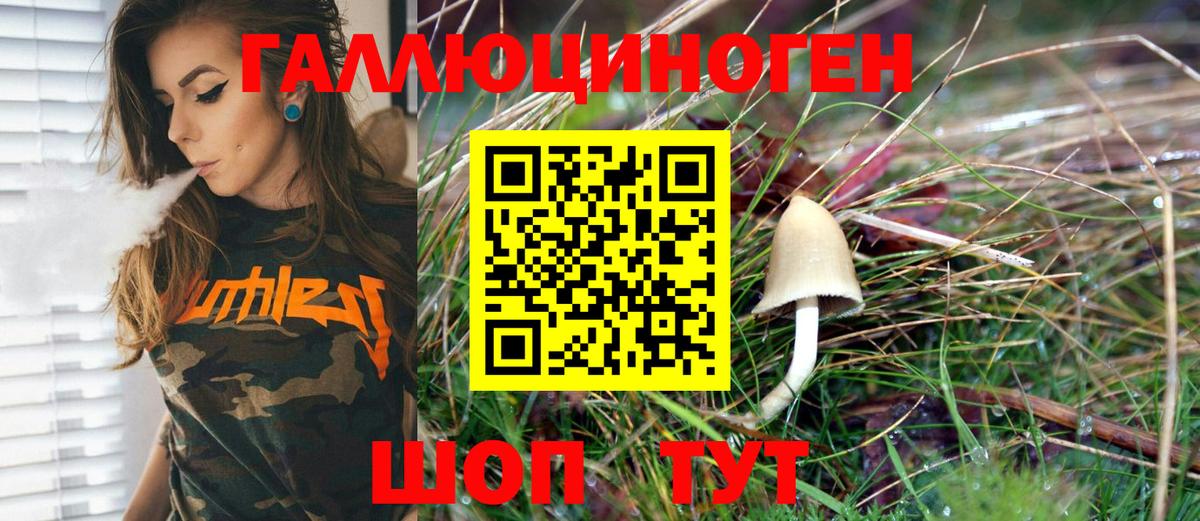 продажа наркотиков  Вход с VPN  Псилоцибиновые грибы Psilocybine cubensis  Новороссийск  Псилоцибиновые грибы MAGIC MUSHROOMS 