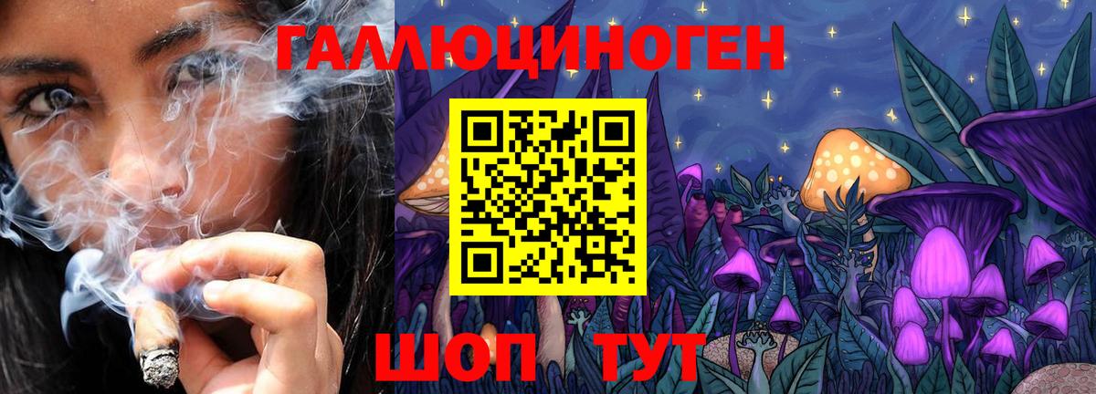 Галлюциногенные грибы Magic Shrooms  Новороссийск 